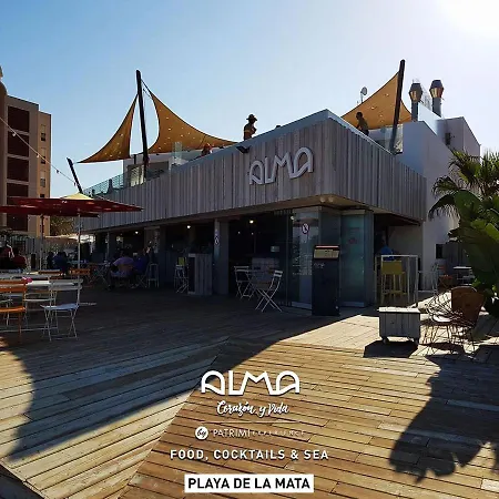 Experience Playa Los Locos Lägenhet Torrevieja